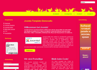 IBSI-US.COM Affordable Custom Web site design Tampa Florida